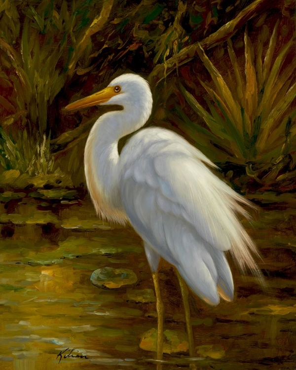 Picture of TROPICAL EGRET II
