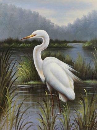 Picture of MORNING EGRET