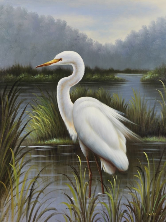 Picture of MORNING EGRET