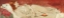 Picture of A YOUNG RED HAIR GIRL SLEEPING ON A BEARSKIN