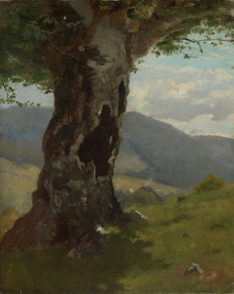 Picture of OLD TREE TRUNK WITH A VIEW OF THE VALLEY