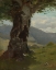 Picture of OLD TREE TRUNK WITH A VIEW OF THE VALLEY