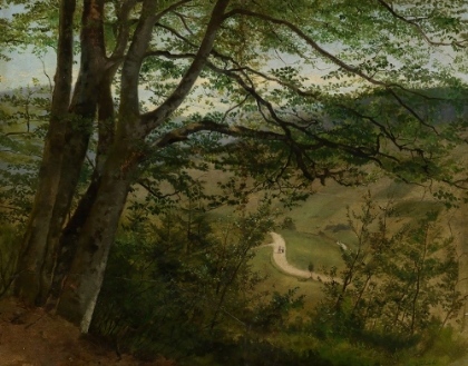 Picture of VIEW THROUGH TREES AND BUSHES TO VALLEY 1861
