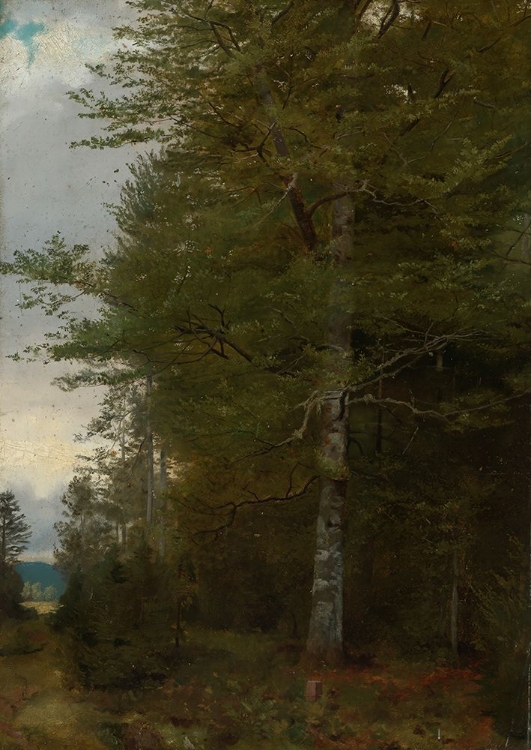 Picture of BEECH AT THE EDGE OF THE FOREST 1861