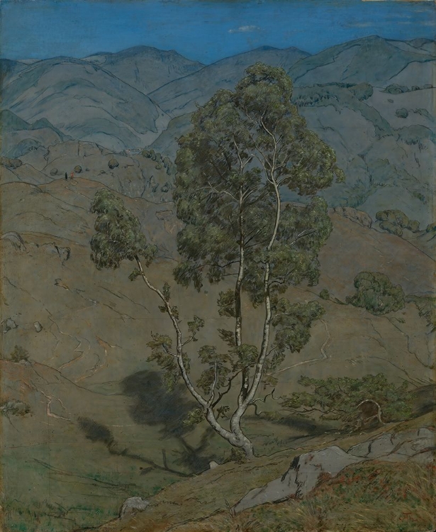 Picture of THE BIRCH 1904