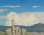 Picture of APPROACHING THUNDERSTORM 1931
