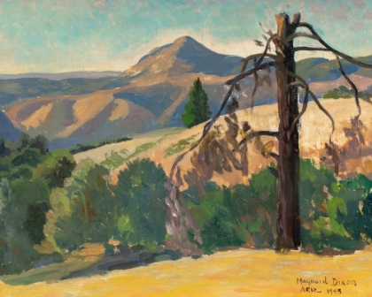 Picture of ARIZONA 1943