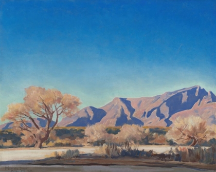 Picture of ARIZONA AUTUMN 1943