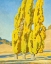 Picture of AUTUMNAL POPLARS 1932