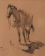 Picture of COW PONY 1929