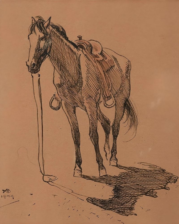 Picture of COW PONY 1929