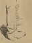 Picture of COWBOY BOOTS CA 1911