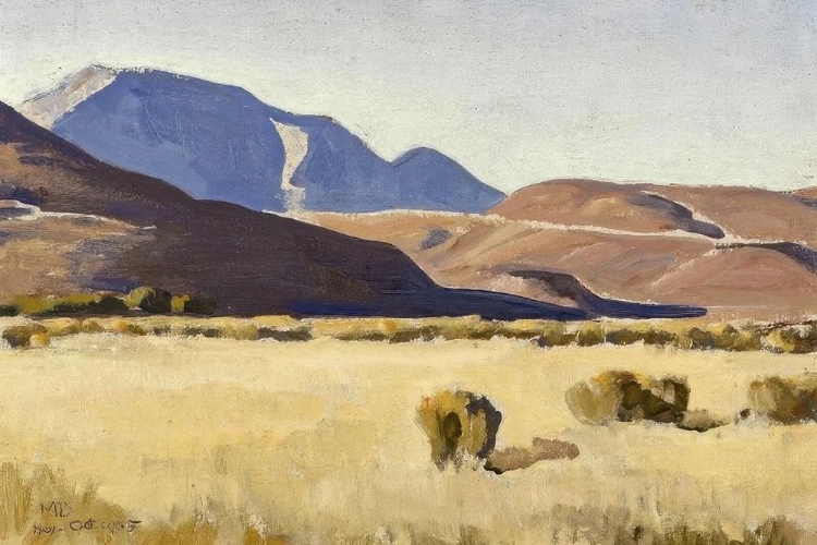 Picture of DESERT HILLS 1935