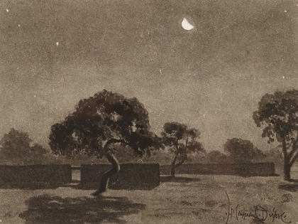 Picture of DESERT MOON