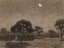 Picture of DESERT MOON