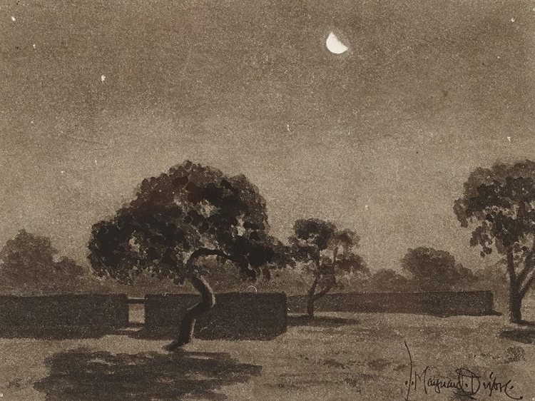 Picture of DESERT MOON