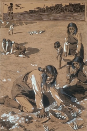 Picture of DIGGER INDIANS