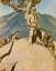 Picture of MOUNTAIN MEN