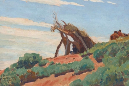 Picture of NAVAJO SUN SHELTER 1922