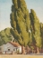 Picture of POPLARS OF CARSON 1937