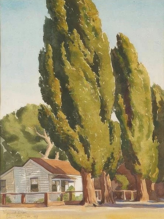 Picture of POPLARS OF CARSON 1937