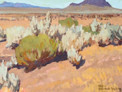 Picture of SAGE AND RABBIT BRUSH 1927