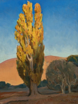 Picture of SHIFTING LIGHT ON A POPLAR 1930