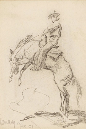 Picture of SHUMWAY OREGON BRONCO BUSTER 1901