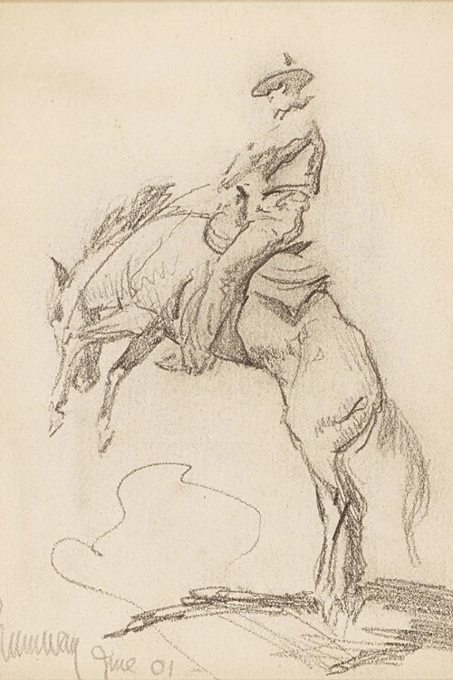 Picture of SHUMWAY OREGON BRONCO BUSTER 1901