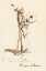 Picture of SIOUX CAMP CRIER CA 1943