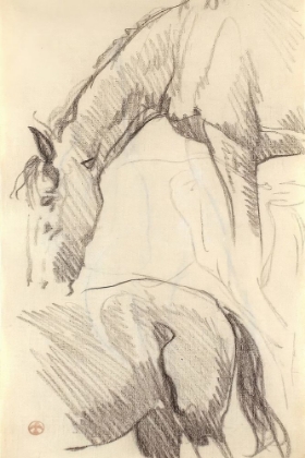 Picture of STUDY OF HORSES