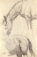 Picture of STUDY OF HORSES