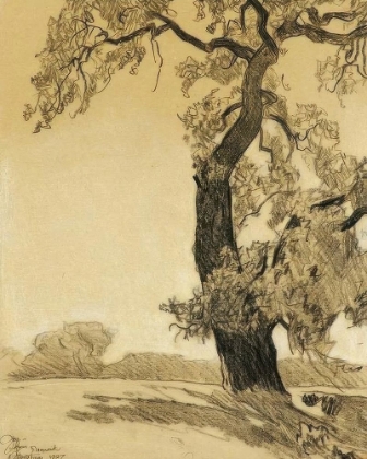 Picture of THE OAK TREE 1927