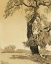 Picture of THE OAK TREE 1927