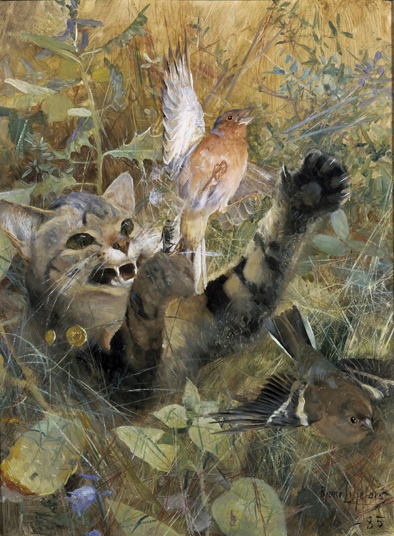 Picture of A CAT AND A CHAFFINCH 1885