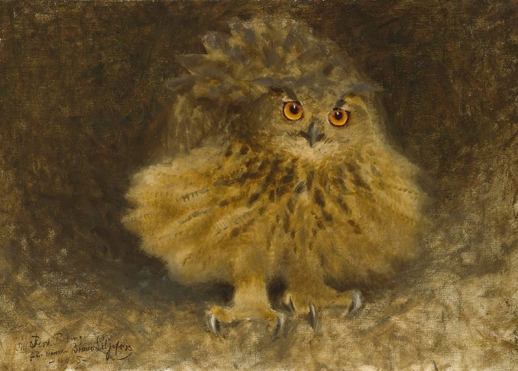 Picture of AN EAGLE OWL 1905