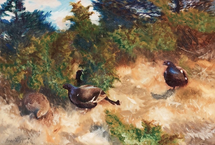 Picture of BLACK GROUSE COURTING 1916