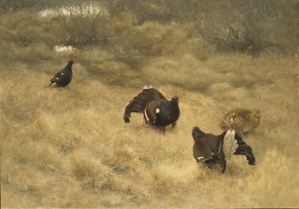 Picture of BLACK GAME IN SPRINGTIME 1907