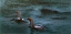 Picture of BLACK-THROATED DIVERS 1901