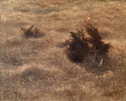 Picture of BUSH WARBLER 1906