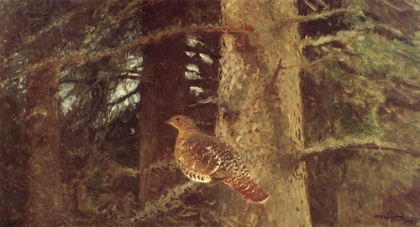 Picture of CAPERCAILLIE HEN 1904