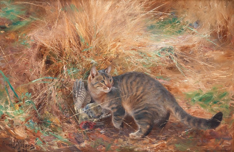 Picture of CAT WITH EUROPEAN GREEN WOODPECKER1890