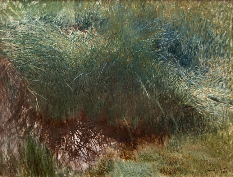 Picture of CLUMP OF REEDS 1907