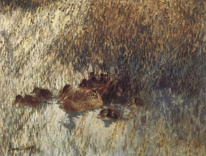 Picture of DUCKS IN HORSETAIL REEDS 1913