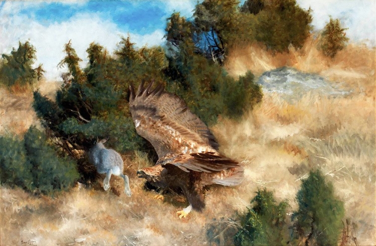 Picture of EAGLE HUNTING A HARE 1924