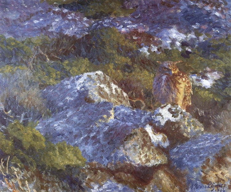 Picture of EAGLE OWL ON ROCK 1916