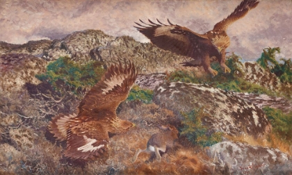 Picture of EAGLES CHASING A HARE 1911