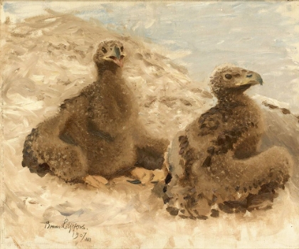 Picture of EAGLETS 1907