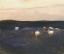 Picture of EIDER DUCKS 1913
