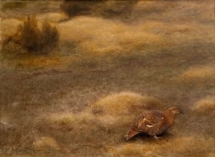 Picture of FEMALE BLACK GROUSE 1905